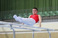 Thumbnail - JT III - Peter Sarosi - Artistic Gymnastics - 2022 - egWohnen JuniorsTrophy - Participants - Ungarn 02051_16305.jpg
