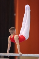 Thumbnail - JT III - Peter Sarosi - Artistic Gymnastics - 2022 - egWohnen JuniorsTrophy - Participants - Ungarn 02051_16365.jpg