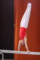 Thumbnail - JT III - Peter Sarosi - Artistic Gymnastics - 2022 - egWohnen JuniorsTrophy - Participants - Ungarn 02051_16368.jpg