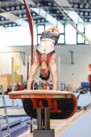 Thumbnail - SC Berlin - Artistic Gymnastics - 2022 - NBL Ost Berlin - Participants 02052_00601.jpg