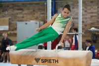 Thumbnail - Bence Szabo - Gymnastique Artistique - 2022 - NBL Ost Berlin - Participants - SV Halle 02052_01324.jpg