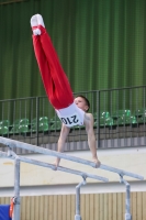 Thumbnail - AK 11 bis 12 - Artistic Gymnastics - 2022 - Deutschlandpokal Cottbus - Teilnehmer 02054_00138.jpg