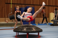 Thumbnail - AK 09 bis 10 - Ginnastica Artistica - 2022 - Deutschlandpokal Cottbus - Teilnehmer 02054_00584.jpg