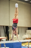 Thumbnail - Baden - Lukas Gaisdörfer - Ginnastica Artistica - 2022 - Deutschlandpokal Cottbus - Teilnehmer - AK 09 bis 10 02054_00648.jpg