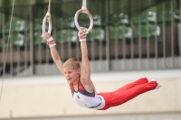 Thumbnail - Berlin - Felix Knaak - Artistic Gymnastics - 2022 - Deutschlandpokal Cottbus - Teilnehmer - AK 09 bis 10 02054_00819.jpg