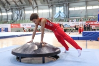 Thumbnail - Brandenburg - Davyd Diakiv - Artistic Gymnastics - 2022 - Deutschlandpokal Cottbus - Teilnehmer - AK 09 bis 10 02054_01382.jpg