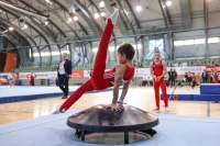 Thumbnail - Brandenburg - Davyd Diakiv - Gymnastique Artistique - 2022 - Deutschlandpokal Cottbus - Teilnehmer - AK 09 bis 10 02054_01462.jpg