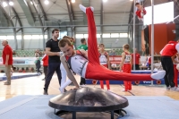 Thumbnail - Berlin - Harvey Halter - Artistic Gymnastics - 2022 - Deutschlandpokal Cottbus - Teilnehmer - AK 09 bis 10 02054_01594.jpg