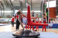 Thumbnail - Berlin - Harvey Halter - Artistic Gymnastics - 2022 - Deutschlandpokal Cottbus - Teilnehmer - AK 09 bis 10 02054_01638.jpg