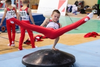 Thumbnail - Berlin - Harvey Halter - Artistic Gymnastics - 2022 - Deutschlandpokal Cottbus - Teilnehmer - AK 09 bis 10 02054_01790.jpg
