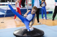 Thumbnail - Bayern - Julian Rauscher - Artistic Gymnastics - 2022 - Deutschlandpokal Cottbus - Teilnehmer - AK 09 bis 10 02054_02774.jpg