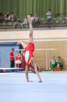 Thumbnail - Baden - Davud Isikdemir - Artistic Gymnastics - 2022 - Deutschlandpokal Cottbus - Teilnehmer - AK 09 bis 10 02054_02842.jpg