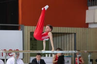 Thumbnail - Brandenburg - Emil Neumann - Gymnastique Artistique - 2022 - Deutschlandpokal Cottbus - Teilnehmer - AK 09 bis 10 02054_02918.jpg