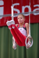 Thumbnail - Berlin - Felix Knaak - Artistic Gymnastics - 2022 - Deutschlandpokal Cottbus - Teilnehmer - AK 09 bis 10 02054_03029.jpg