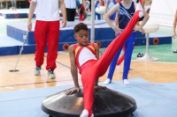 Thumbnail - Baden - Davud Isikdemir - Ginnastica Artistica - 2022 - Deutschlandpokal Cottbus - Teilnehmer - AK 09 bis 10 02054_03179.jpg