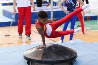 Thumbnail - Baden - Davud Isikdemir - Artistic Gymnastics - 2022 - Deutschlandpokal Cottbus - Teilnehmer - AK 09 bis 10 02054_03180.jpg