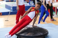 Thumbnail - Baden - Davud Isikdemir - Artistic Gymnastics - 2022 - Deutschlandpokal Cottbus - Teilnehmer - AK 09 bis 10 02054_03186.jpg