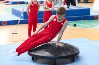 Thumbnail - Brandenburg - Tim Bundt - Artistic Gymnastics - 2022 - Deutschlandpokal Cottbus - Teilnehmer - AK 09 bis 10 02054_03923.jpg