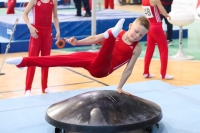 Thumbnail - Brandenburg - Lucas Schmirander - Artistic Gymnastics - 2022 - Deutschlandpokal Cottbus - Teilnehmer - AK 09 bis 10 02054_03967.jpg
