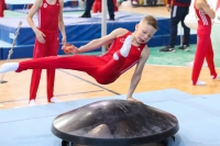 Thumbnail - Brandenburg - Lucas Schmirander - Artistic Gymnastics - 2022 - Deutschlandpokal Cottbus - Teilnehmer - AK 09 bis 10 02054_03969.jpg