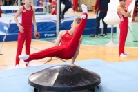 Thumbnail - Brandenburg - Lucas Schmirander - Artistic Gymnastics - 2022 - Deutschlandpokal Cottbus - Teilnehmer - AK 09 bis 10 02054_03973.jpg