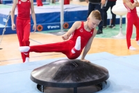 Thumbnail - Brandenburg - Lucas Schmirander - Artistic Gymnastics - 2022 - Deutschlandpokal Cottbus - Teilnehmer - AK 09 bis 10 02054_03978.jpg