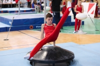 Thumbnail - Brandenburg - Emil Neumann - Artistic Gymnastics - 2022 - Deutschlandpokal Cottbus - Teilnehmer - AK 09 bis 10 02054_03998.jpg