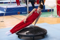 Thumbnail - Brandenburg - Emil Neumann - Artistic Gymnastics - 2022 - Deutschlandpokal Cottbus - Teilnehmer - AK 09 bis 10 02054_04000.jpg