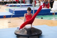 Thumbnail - Brandenburg - Emil Neumann - Artistic Gymnastics - 2022 - Deutschlandpokal Cottbus - Teilnehmer - AK 09 bis 10 02054_04200.jpg