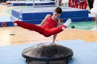 Thumbnail - Brandenburg - Emil Neumann - Artistic Gymnastics - 2022 - Deutschlandpokal Cottbus - Teilnehmer - AK 09 bis 10 02054_04201.jpg