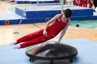 Thumbnail - Brandenburg - Emil Neumann - Artistic Gymnastics - 2022 - Deutschlandpokal Cottbus - Teilnehmer - AK 09 bis 10 02054_04202.jpg
