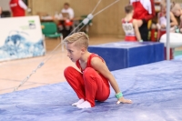 Thumbnail - Baden - Gleb Kurzenko - Artistic Gymnastics - 2022 - Deutschlandpokal Cottbus - Teilnehmer - AK 09 bis 10 02054_04247.jpg