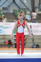 Thumbnail - Baden - Gabriel Risto - Gymnastique Artistique - 2022 - Deutschlandpokal Cottbus - Teilnehmer - AK 09 bis 10 02054_04263.jpg