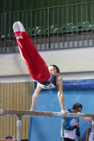 Thumbnail - Niedersachsen - Alin Gabriel Petcu - Gymnastique Artistique - 2022 - Deutschlandpokal Cottbus - Teilnehmer - AK 09 bis 10 02054_05151.jpg