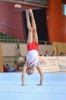 Thumbnail - NRW - Josef Benedict Aigner - Ginnastica Artistica - 2022 - Deutschlandpokal Cottbus - Teilnehmer - AK 09 bis 10 02054_05448.jpg