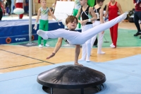 Thumbnail - Schwaben - Lasse Estermann - Artistic Gymnastics - 2022 - Deutschlandpokal Cottbus - Teilnehmer - AK 09 bis 10 02054_05582.jpg