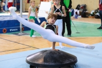 Thumbnail - Schwaben - Lasse Estermann - Artistic Gymnastics - 2022 - Deutschlandpokal Cottbus - Teilnehmer - AK 09 bis 10 02054_05585.jpg