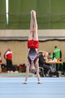 Thumbnail - Niedersachsen - Elias Graf - Artistic Gymnastics - 2022 - Deutschlandpokal Cottbus - Teilnehmer - AK 09 bis 10 02054_06170.jpg