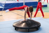 Thumbnail - Niedersachsen - Maximilian Keilmann - Gymnastique Artistique - 2022 - Deutschlandpokal Cottbus - Teilnehmer - AK 09 bis 10 02054_06344.jpg