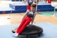 Thumbnail - Niedersachsen - Maximilian Keilmann - Gymnastique Artistique - 2022 - Deutschlandpokal Cottbus - Teilnehmer - AK 09 bis 10 02054_06355.jpg