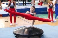 Thumbnail - Niedersachsen - Elias Graf - Artistic Gymnastics - 2022 - Deutschlandpokal Cottbus - Teilnehmer - AK 09 bis 10 02054_06372.jpg