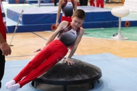 Thumbnail - Niedersachsen - Elias Graf - Artistic Gymnastics - 2022 - Deutschlandpokal Cottbus - Teilnehmer - AK 09 bis 10 02054_06386.jpg