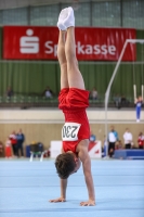 Thumbnail - Hessen - Noah Julian Pelzer - Gymnastique Artistique - 2022 - Deutschlandpokal Cottbus - Teilnehmer - AK 09 bis 10 02054_06664.jpg