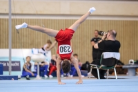 Thumbnail - Hessen - Noah Julian Pelzer - Gymnastique Artistique - 2022 - Deutschlandpokal Cottbus - Teilnehmer - AK 09 bis 10 02054_06673.jpg