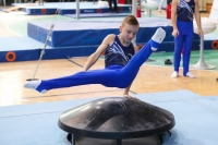 Thumbnail - Schleswig-Holstein - Mika Stegmann - Artistic Gymnastics - 2022 - Deutschlandpokal Cottbus - Teilnehmer - AK 09 bis 10 02054_06788.jpg