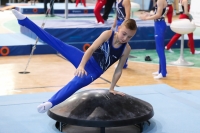 Thumbnail - Schleswig-Holstein - Mika Stegmann - Artistic Gymnastics - 2022 - Deutschlandpokal Cottbus - Teilnehmer - AK 09 bis 10 02054_06819.jpg