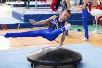 Thumbnail - Schleswig-Holstein - Mika Stegmann - Gymnastique Artistique - 2022 - Deutschlandpokal Cottbus - Teilnehmer - AK 09 bis 10 02054_06820.jpg