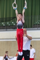 Thumbnail - Niedersachsen - Elias Graf - Artistic Gymnastics - 2022 - Deutschlandpokal Cottbus - Teilnehmer - AK 09 bis 10 02054_06917.jpg