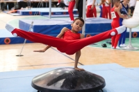 Thumbnail - Hessen - Jamal Louis Führer - Gymnastique Artistique - 2022 - Deutschlandpokal Cottbus - Teilnehmer - AK 09 bis 10 02054_07156.jpg