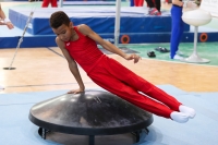 Thumbnail - Hessen - Jamal Louis Führer - Artistic Gymnastics - 2022 - Deutschlandpokal Cottbus - Teilnehmer - AK 09 bis 10 02054_07166.jpg